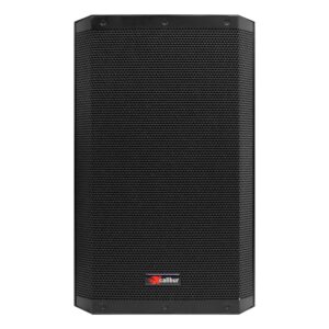 Bafle pasivo 15″ 300w XCalibur